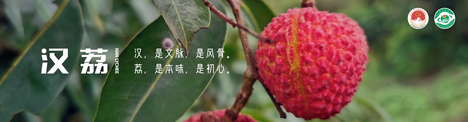 冰荔